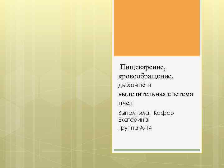 Пищеварение, кровообращение, дыхание и выделительная система пчел Выполнила: Кефер Екатерина Группа А-14 