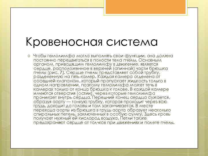 Кровеносная система Чтобы гемолимфа могла выполнять свои функции, она должна постоянно передвигаться в полости