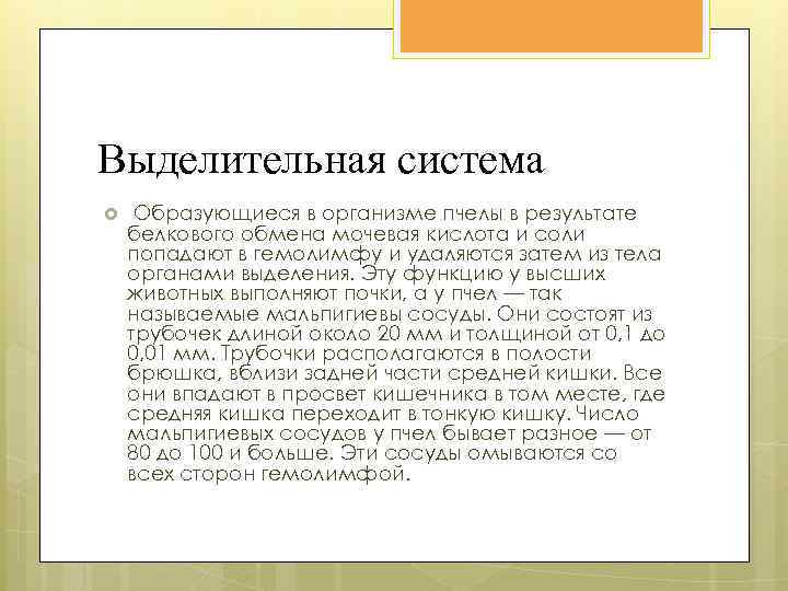 Выделительная система Образующиеся в организме пчелы в результате белкового обмена мочевая кислота и соли
