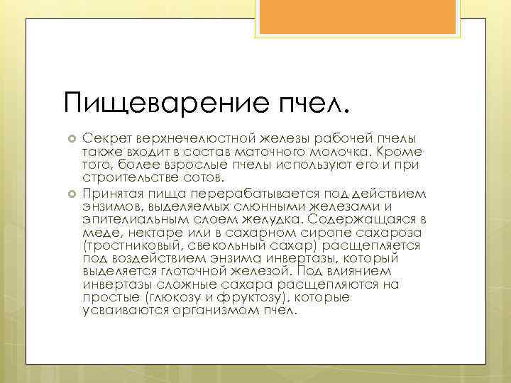 Пищеварение пчел. Секрет верхнечелюстной железы рабочей пчелы также входит в состав маточного молочка. Кроме