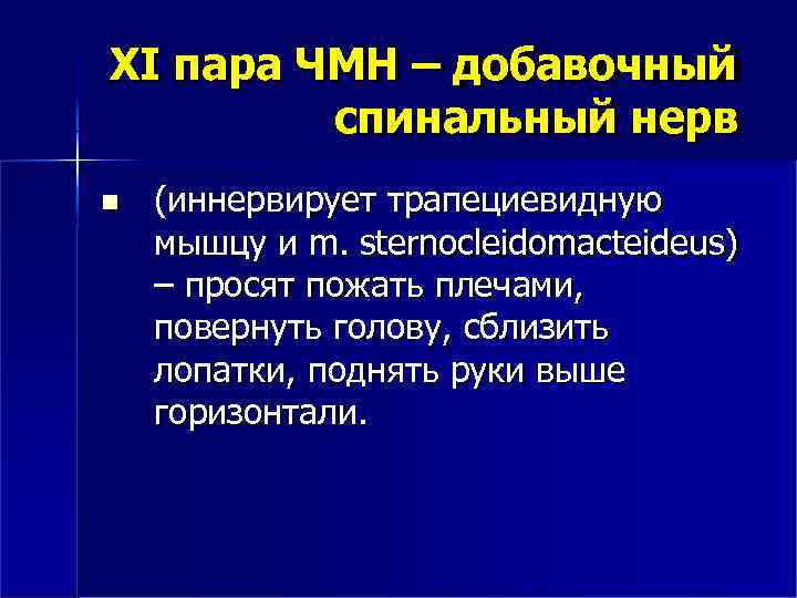 XI пара ЧМН – добавочный спинальный нерв (иннервирует трапециевидную мышцу и m. sternocleidomacteideus) –