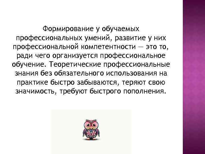 Формирование у обучаемых профессиональных умений, развитие у них профессиональной компетентности — это то, ради