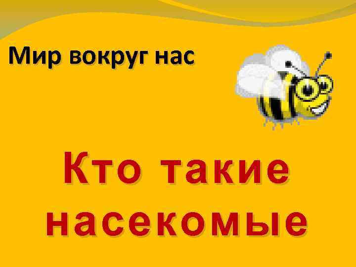 Мир вокруг нас Кто такие насекомые 