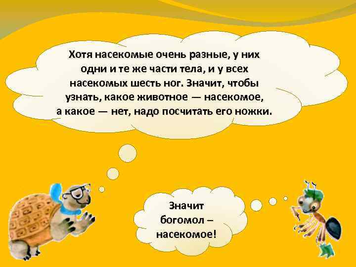 Хотя насекомые очень разные, у них одни и те же части тела, и у