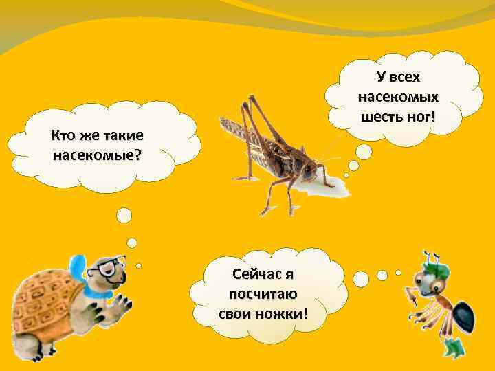 У всех насекомых шесть ног! Кто же такие насекомые? Сейчас я посчитаю свои ножки!