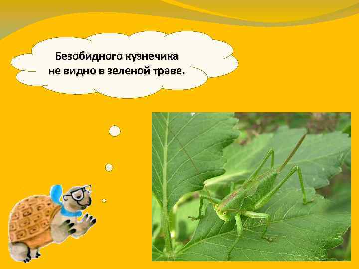 Безобидного кузнечика не видно в зеленой траве. 