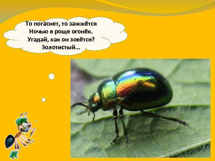 То погаснет, то зажжётся Ночью в роще огонёк. Угадай, как он зовётся? Золотистый. .