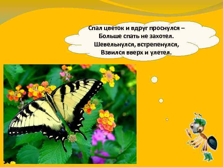 Спал цветок и вдруг проснулся – Больше спать не захотел. Шевельнулся, встрепенулся, Взвился вверх