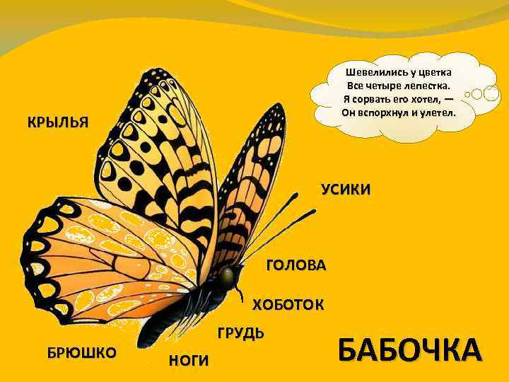 Шевелились у цветка Все четыре лепестка. Я сорвать его хотел, — Он вспорхнул и