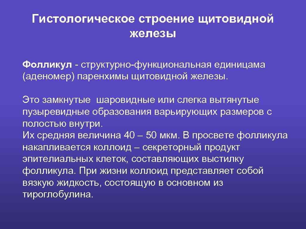 Гистологическое строение щитовидной железы Фолликул - структурно-функциональная единицама (аденомер) паренхимы щитовидной железы. Это замкнутые