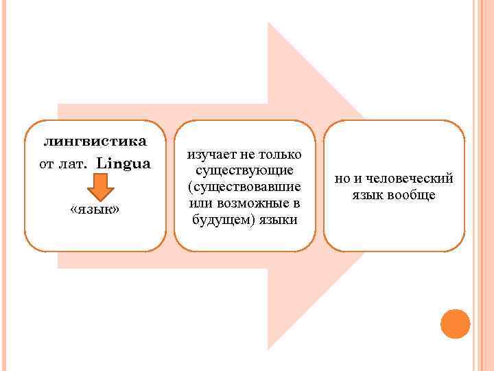 лингвистика от лат. Lingua «язык» изучает не только существующие (существовавшие или возможные в будущем)