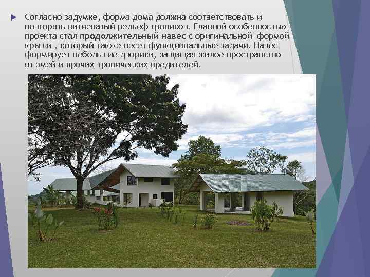  Согласно задумке, форма должна соответствовать и повторять витиеватый рельеф тропиков. Главной особенностью проекта