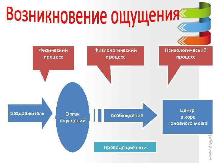 Возникновение ощущений схема