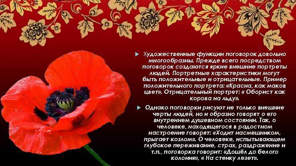  Художественные функции поговорок довольно многообразны. Прежде всего посредством поговорок создаются яркие внешние портреты