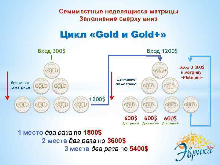 Семиместные неделящиеся матрицы Заполнение сверху вниз Цикл «Gold и Gold+» Вход 300$ Вход 1200$