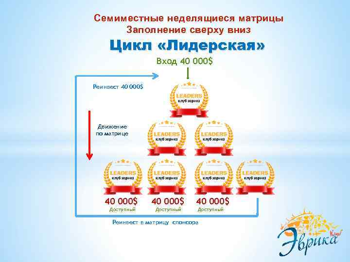 Семиместные неделящиеся матрицы Заполнение сверху вниз Цикл «Лидерская» Вход 40 000$ Реинвест 40 000$
