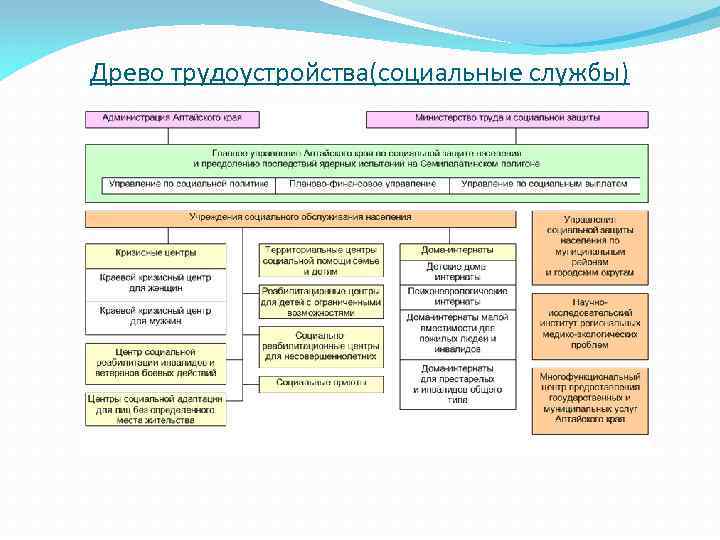 Древо трудоустройства(социальные службы) 