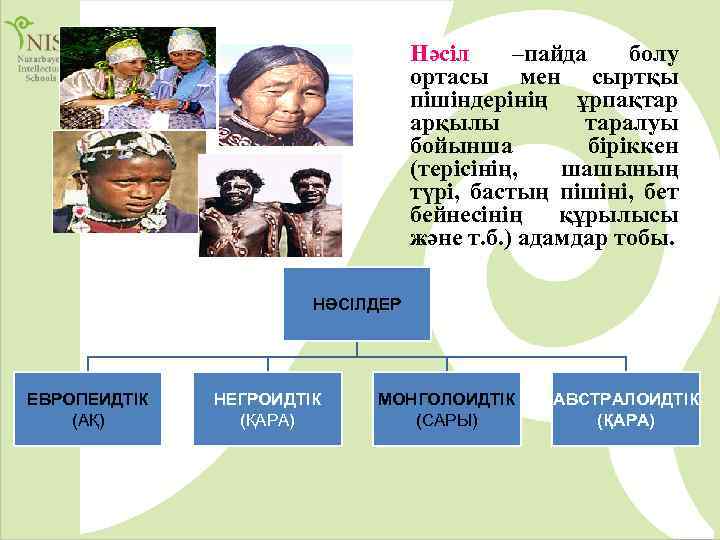 Нәсіл –пайда болу ортасы мен сыртқы пішіндерінің ұрпақтар арқылы таралуы бойынша біріккен (терісінің, шашының