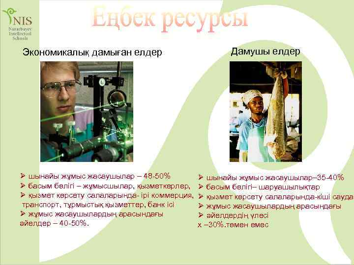 Экономикалық дамыған елдер Ø шынайы жұмыс жасаушылар – 48 -50% Ø басым бөлігі –