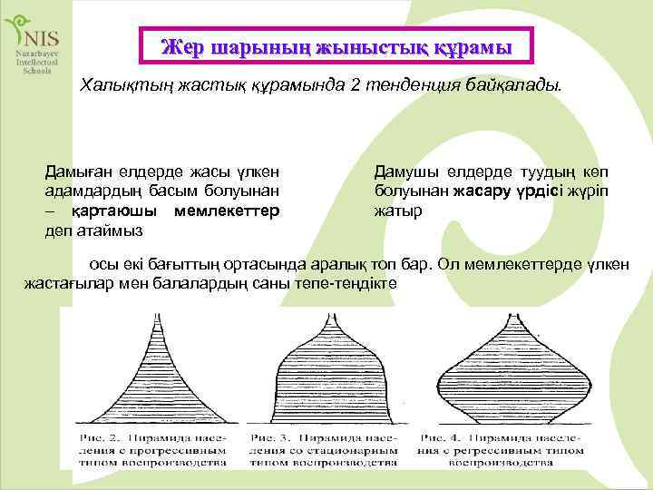 Жер шарының жыныстық құрамы Халықтың жастық құрамында 2 тенденция байқалады. Дамыған елдерде жасы үлкен