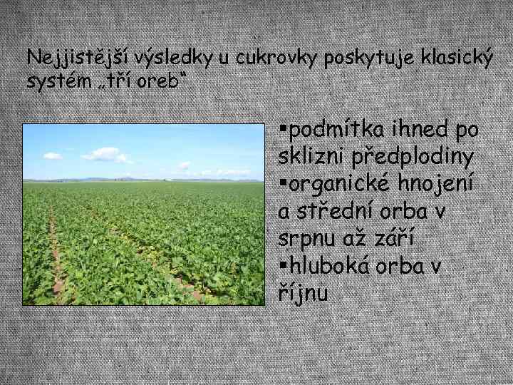 Nejjistější výsledky u cukrovky poskytuje klasický systém „tří oreb“ podmítka ihned po sklizni předplodiny