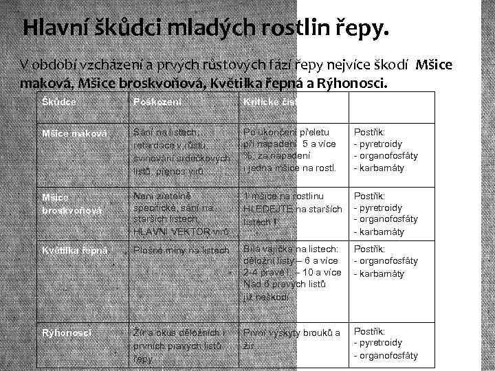 Hlavní škůdci mladých rostlin řepy. V období vzcházení a prvých růstových fází řepy nejvíce