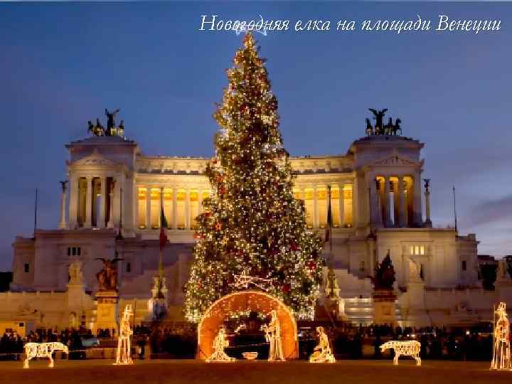 Новогодняя елка на площади Венеции 