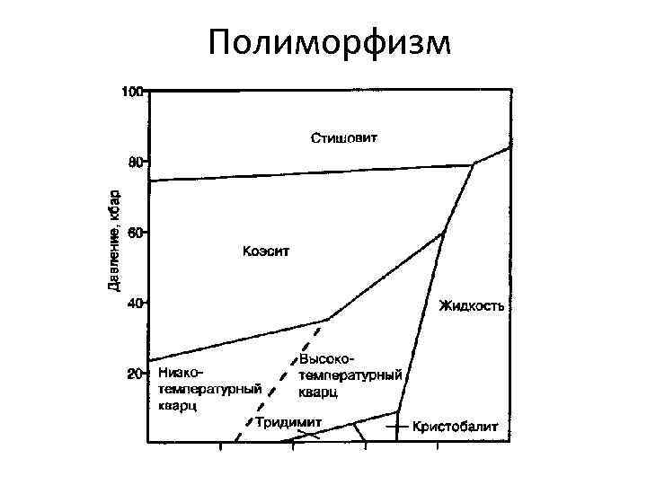 Полиморфизм 