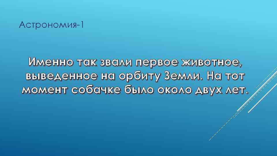 Астрономия-1 Именно так звали первое животное, выведенное на орбиту Земли. На тот момент собачке