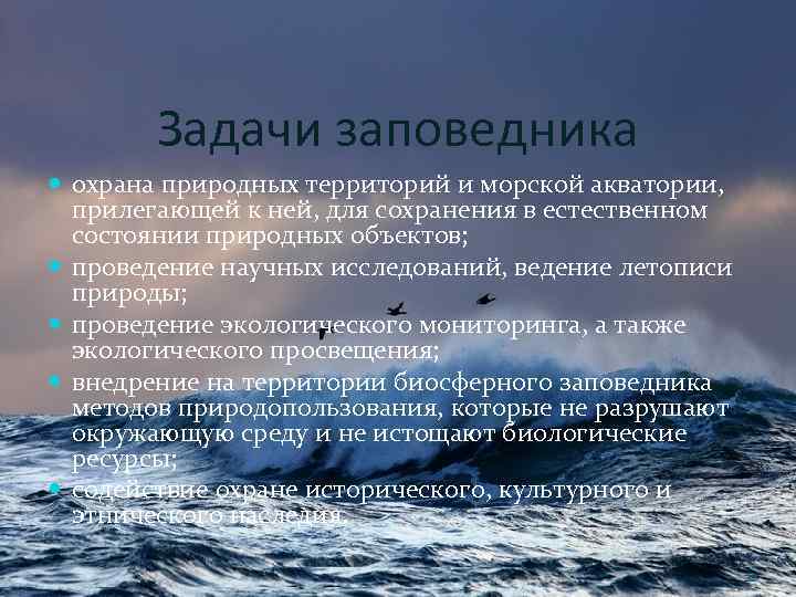 Задачи заповедника охрана природных территорий и морской акватории, прилегающей к ней, для сохранения в