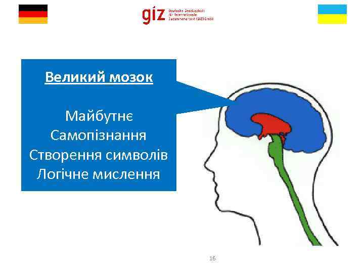 Великий мозок Майбутнє Самопізнання Створення символів Логічне мислення 16 