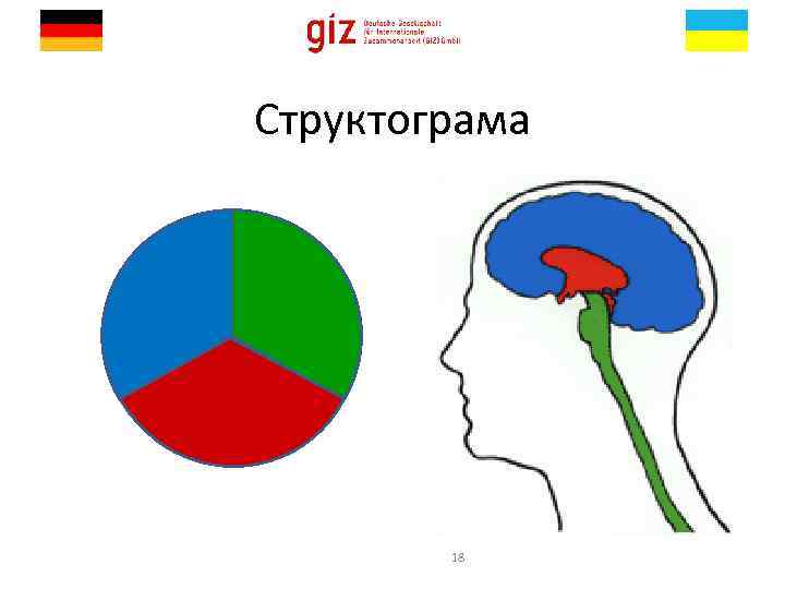 Структограма 18 