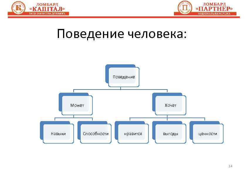 Поведение человека: Поведение Может Навыки Способности Хочет нравится выгоды ценности 14 