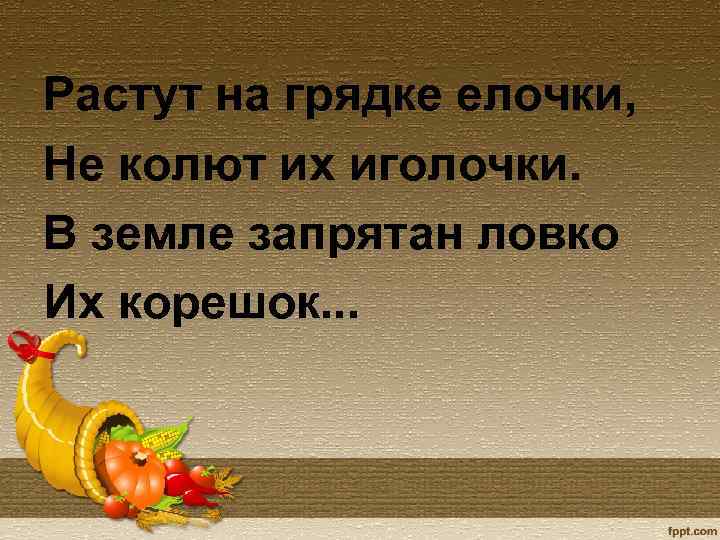 Растут на грядке елочки, Не колют их иголочки. В земле запрятан ловко Их корешок.