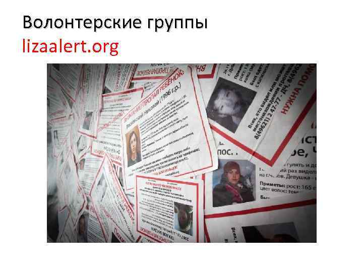 Волонтерские группы lizaalert. org 