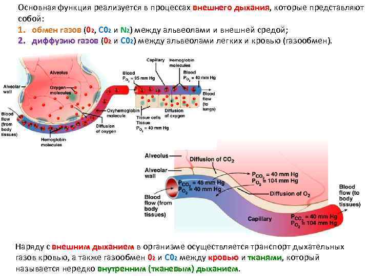 Газ 2 1 обмен