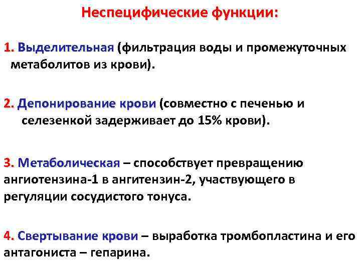 Неспецифические функции: 1. Выделительная (фильтрация воды и промежуточных 1. Выделительная метаболитов из крови). 2.