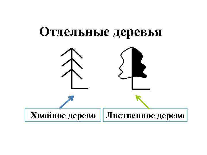 Отдельные деревья Хвойное дерево Лиственное дерево 