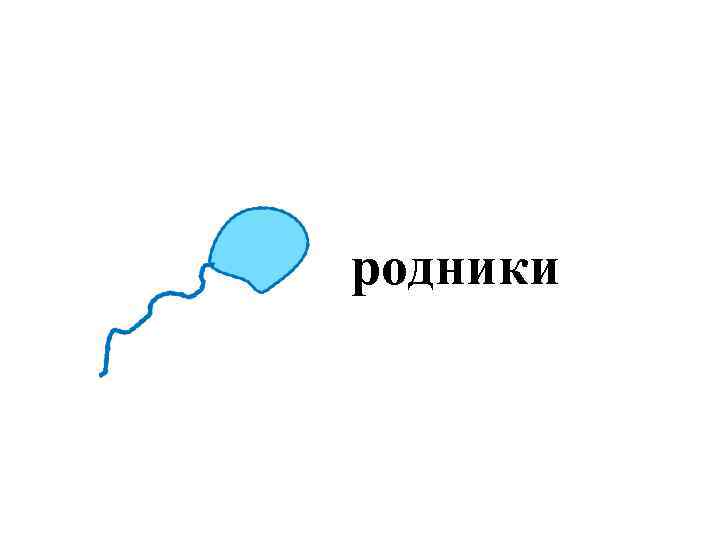 родники 