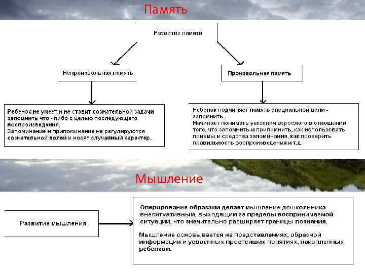 Память Мышление 