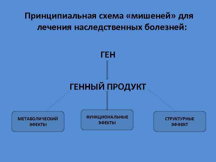  Принципиальная схема «мишеней» для лечения наследственных болезней: ГЕННЫЙ ПРОДУКТ МЕТАБОЛИЧЕСКИЙ ЭФЕКТЫ ФУНКЦИОНАЛЬНЫЕ ЭФЕКТЫ