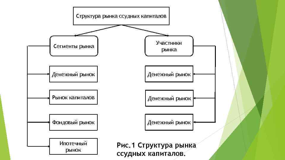 Структура участников