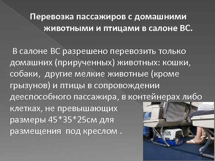 Перевозка пассажиров с домашними животными и птицами в салоне ВС. В салоне ВС разрешено