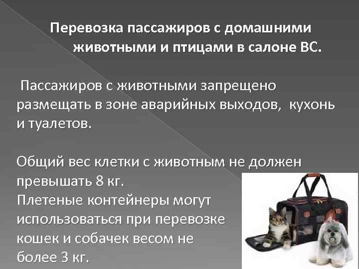 Перевозка пассажиров с домашними животными и птицами в салоне ВС. Пассажиров с животными запрещено