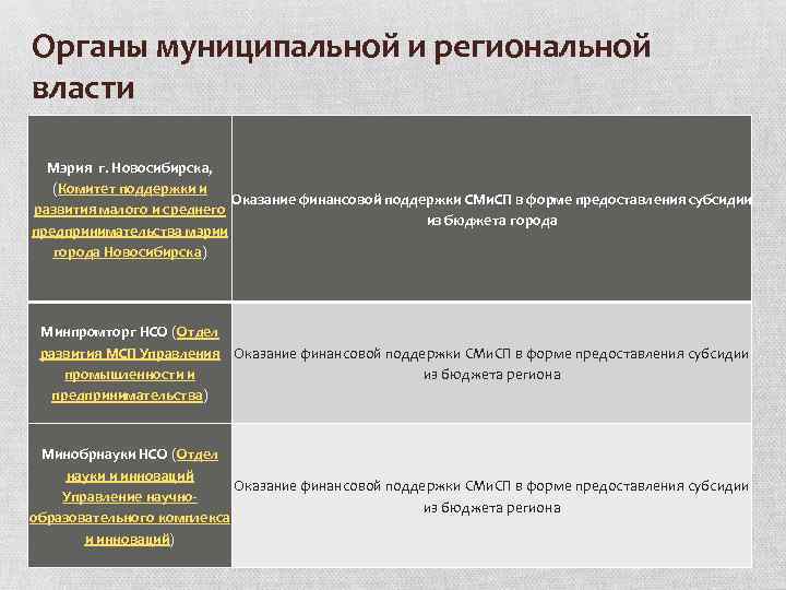 Органы муниципальной и региональной власти Мэрия г. Новосибирска, (Комитет поддержки и Оказание финансовой поддержки