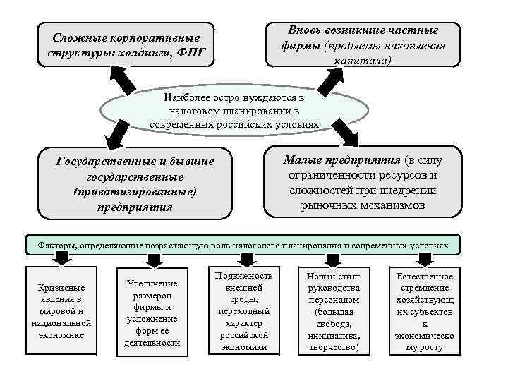 Вновь возникшие частные фирмы (проблемы накопления капитала) Сложные корпоративные структуры: холдинги, ФПГ Наиболее остро