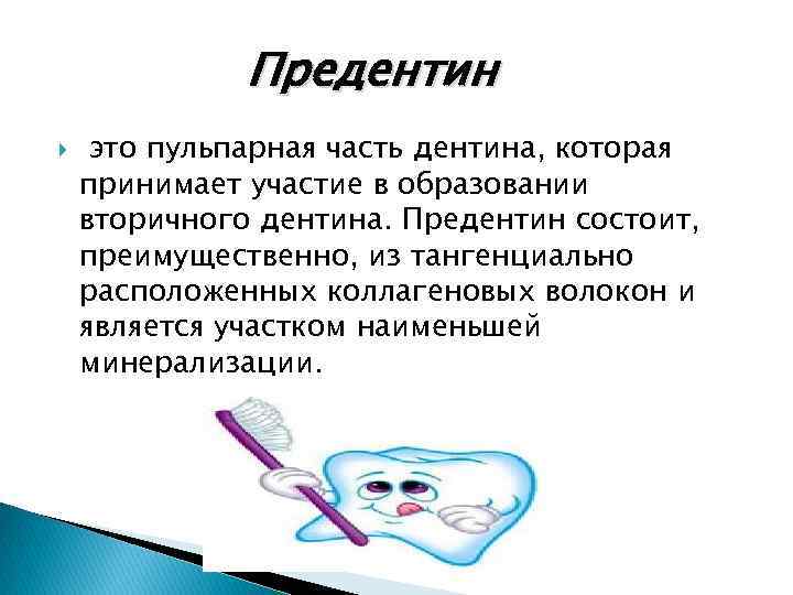 Предентин это пульпарная часть дентина, которая принимает участие в образовании вторичного дентина. Предентин состоит,