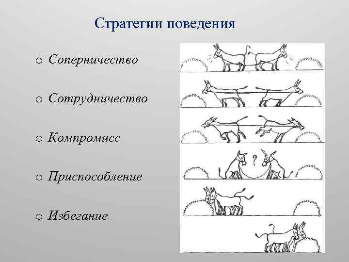 Стратегии поведения o Соперничество o Сотрудничество o Компромисс o Приспособление o Избегание 