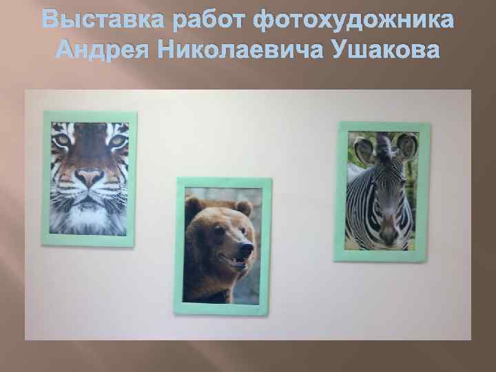 Выставка работ фотохудожника Андрея Николаевича Ушакова 