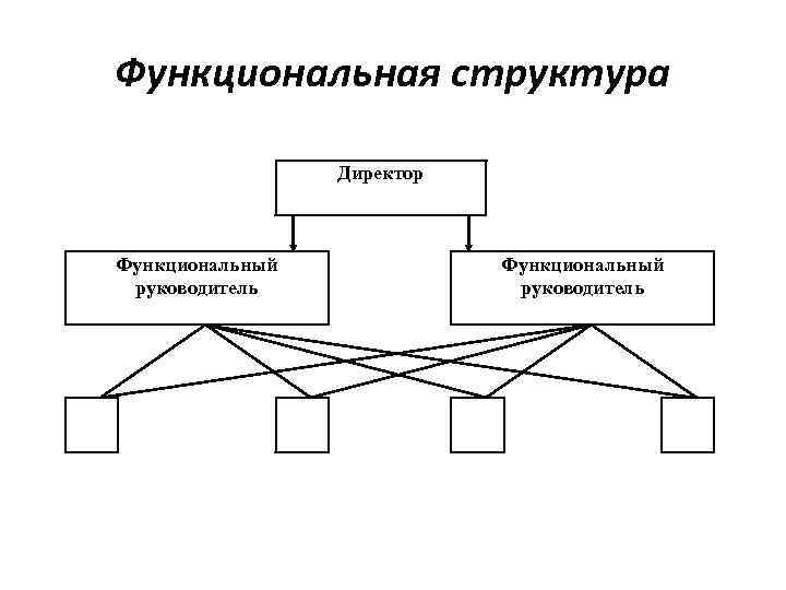 Функциональная структура Директор Функциональный руководитель 